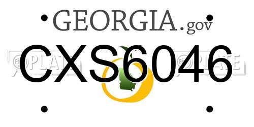 CXS6046 Georgia License Plate