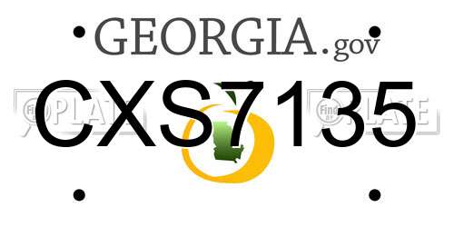 CXS7135 Georgia License Plate