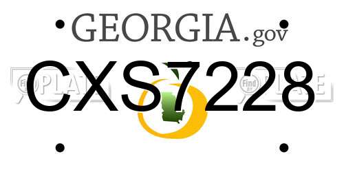 CXS7228 Georgia License Plate