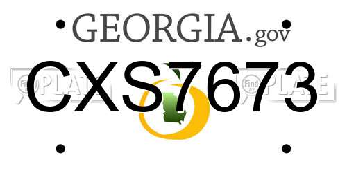 CXS7673 Georgia License Plate