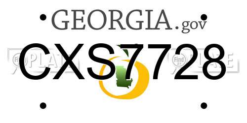 CXS7728 Georgia License Plate