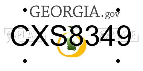 CXS8349 Georgia License Plate