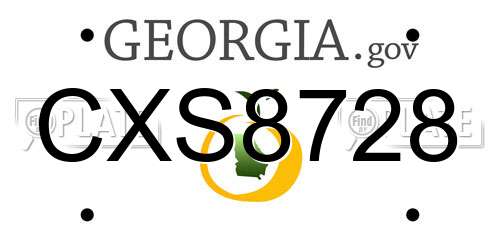 CXS8728 Georgia License Plate