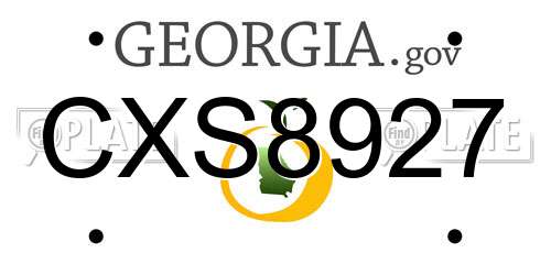 CXS8927 Georgia License Plate