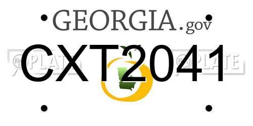 CXT2041 Georgia License Plate