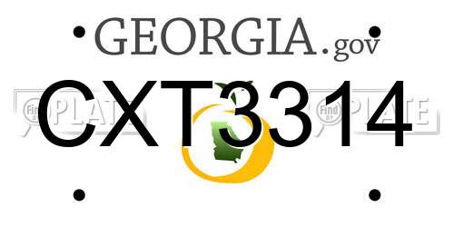 CXT3314 Georgia License Plate