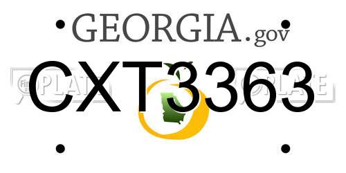 CXT3363 Georgia License Plate