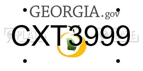 CXT3999 Georgia License Plate