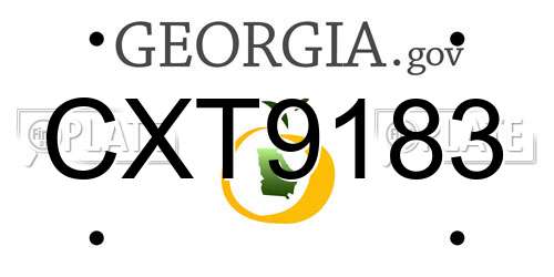 CXT9183 Georgia License Plate