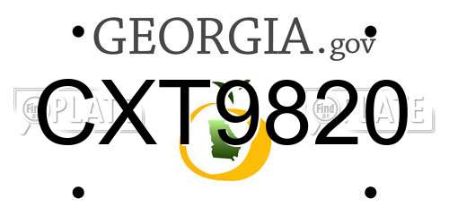 CXT9820 Georgia License Plate