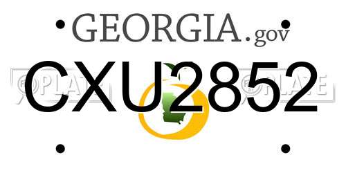 CXU2852 Georgia License Plate