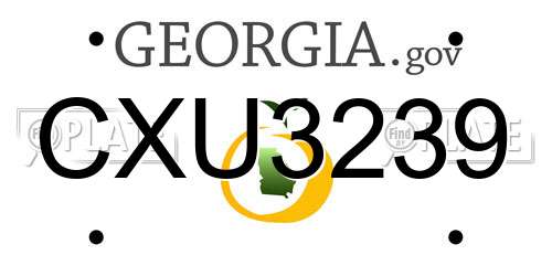 CXU3239 Georgia License Plate