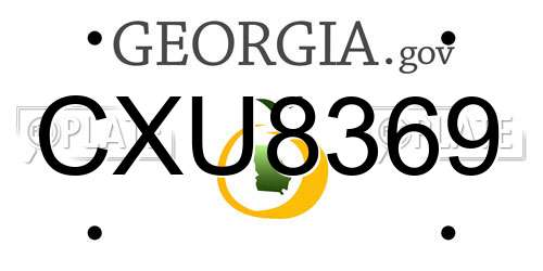 CXU8369 Georgia License Plate