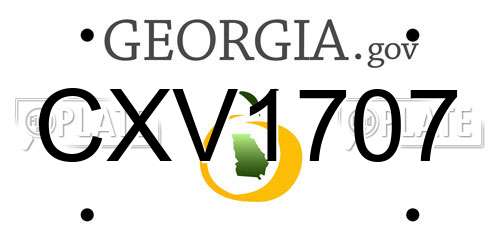 CXV1707 Georgia License Plate