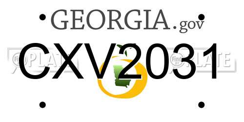 CXV2031 Georgia License Plate