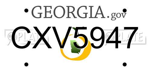 CXV5947 Georgia License Plate