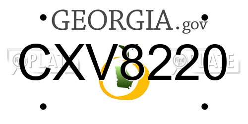 CXV8220 Georgia License Plate