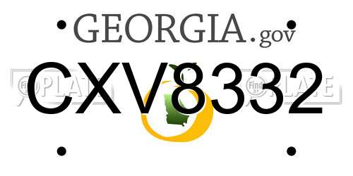 CXV8332 Georgia License Plate