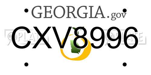 CXV8996 Georgia License Plate