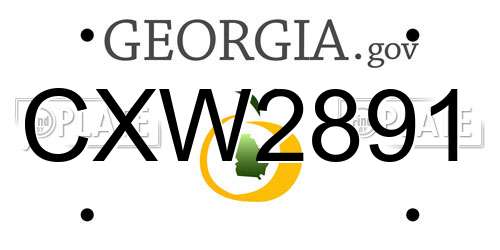 CXW2891 Georgia License Plate