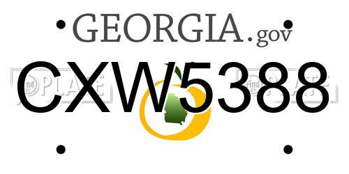 CXW5388 Georgia License Plate