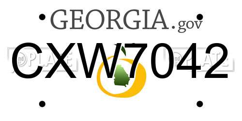 CXW7042 Georgia License Plate