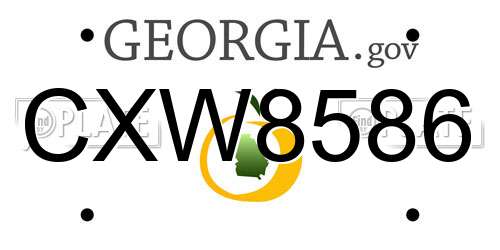 CXW8586 Georgia License Plate