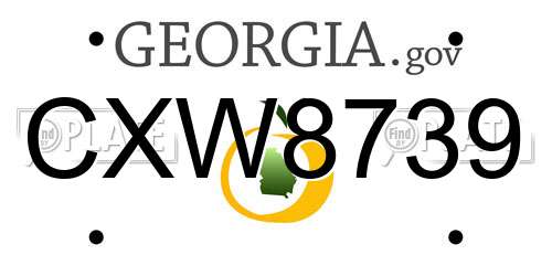CXW8739 Georgia License Plate