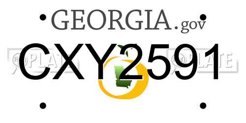 CXY2591 Georgia License Plate