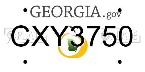 CXY3750 Georgia License Plate