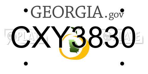 CXY3830 Georgia License Plate