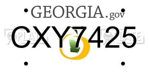 CXY7425 Georgia License Plate
