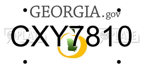 CXY7810 Georgia License Plate