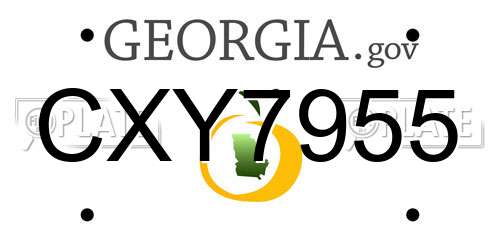 CXY7955 Georgia License Plate