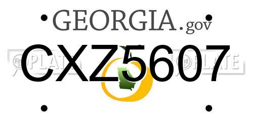 CXZ5607 Georgia License Plate