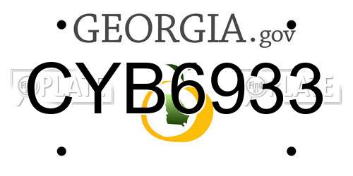 CYB6933 Georgia License Plate