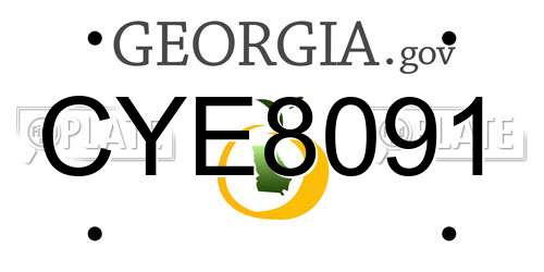 CYE8091 Georgia License Plate