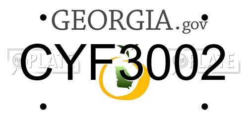 CYF3002 Georgia License Plate