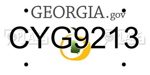 CYG9213 Georgia License Plate