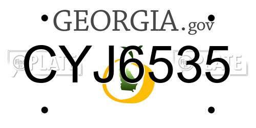 CYJ6535 Georgia License Plate