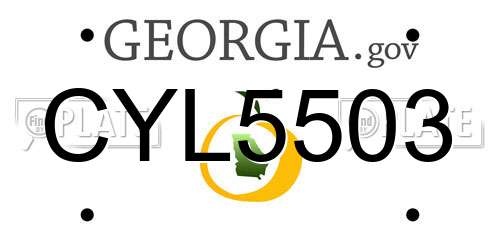 CYL5503 Georgia License Plate