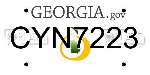 CYN7223 Georgia License Plate