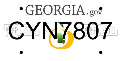 CYN7807 Georgia License Plate