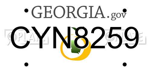CYN8259 Georgia License Plate