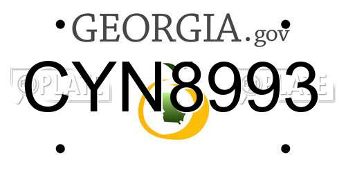 CYN8993 Georgia License Plate