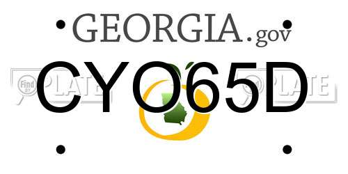 CYO65D Georgia License Plate
