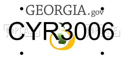 CYR3006 Georgia License Plate