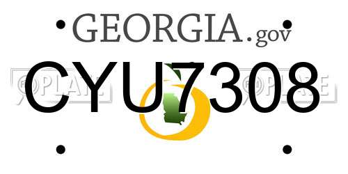CYU7308 Georgia License Plate