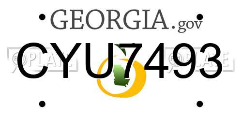 CYU7493 Georgia License Plate