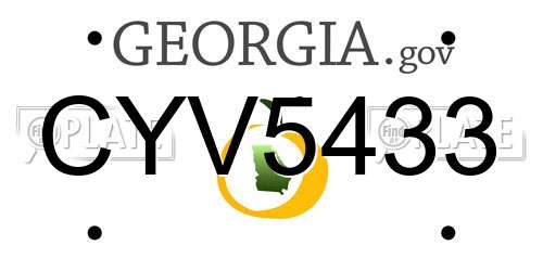 CYV5433 Georgia License Plate